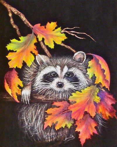 Raccoon and Fall Leaves