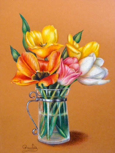 Spring Tulip Variety