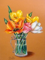 Spring Tulip Variety